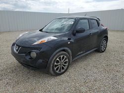 Salvage cars for sale at Arcadia, FL auction: 2013 Nissan Juke S