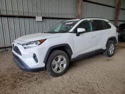 Salvage cars for sale from Copart Houston, TX: 2019 Toyota Rav4 XLE