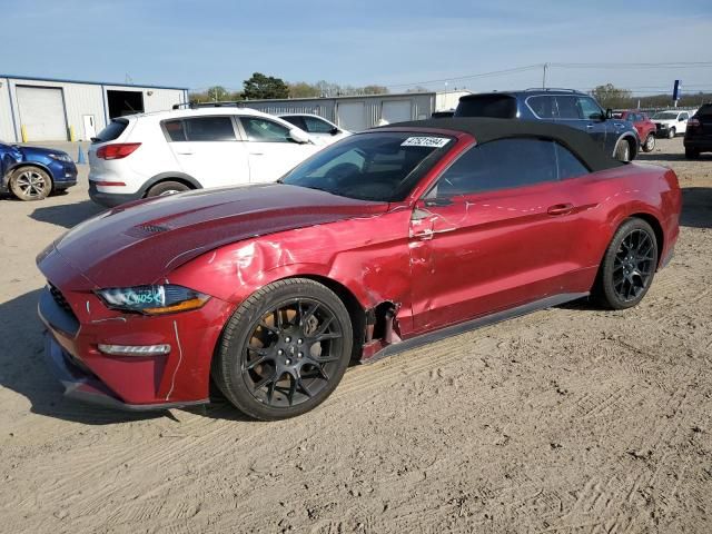 2019 Ford Mustang