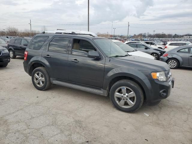 2009 Ford Escape Limited