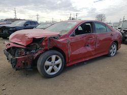 Toyota salvage cars for sale: 2011 Toyota Camry Base