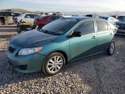 Salvage cars for sale at Magna, UT auction: 2009 Toyota Corolla Base