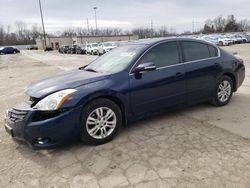 Nissan salvage cars for sale: 2010 Nissan Altima Base