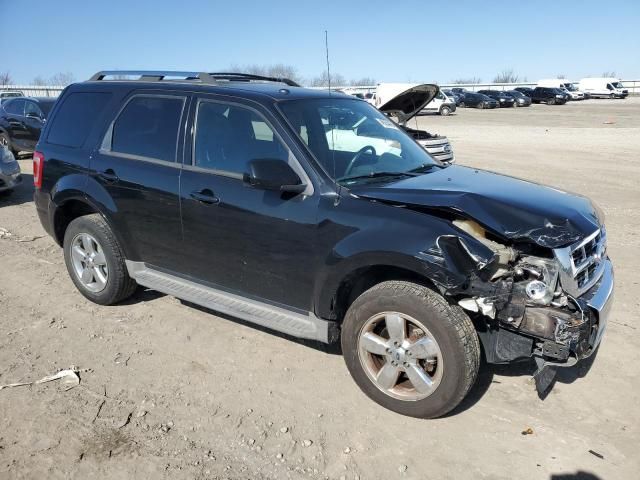 2010 Ford Escape Limited