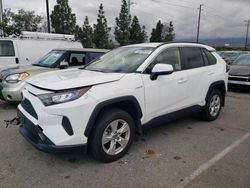 Salvage cars for sale from Copart Rancho Cucamonga, CA: 2019 Toyota Rav4 LE