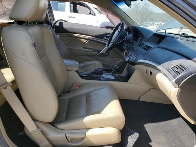 2009 Honda Accord EXL