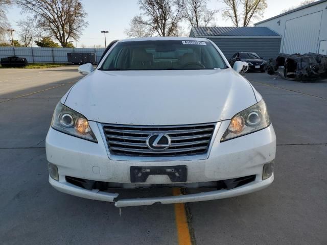 2010 Lexus ES 350