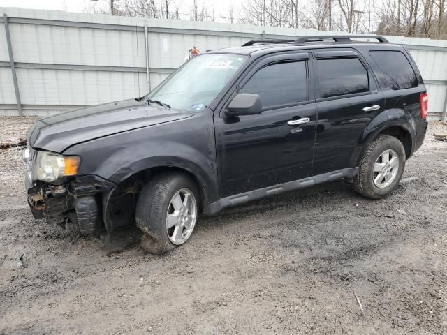 2010 Ford Escape XLT