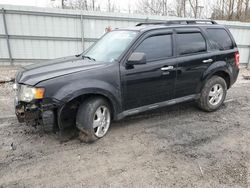 Ford Escape salvage cars for sale: 2010 Ford Escape XLT