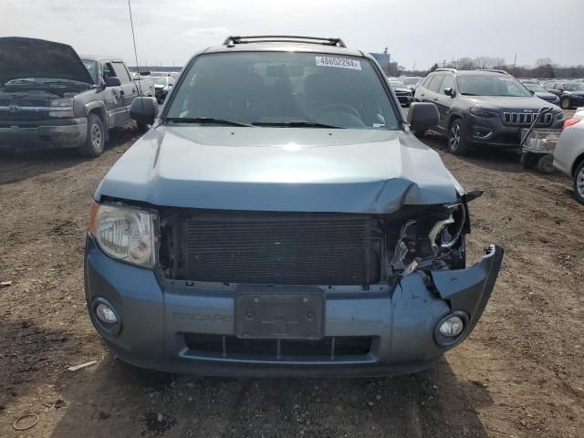 2010 Ford Escape XLT