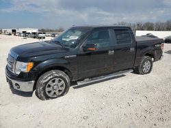 Salvage cars for sale at New Braunfels, TX auction: 2014 Ford F150 Supercrew