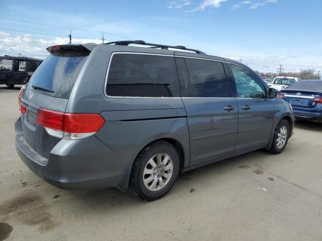 2010 Honda Odyssey EXL