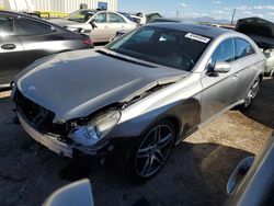 Salvage cars for sale at Tucson, AZ auction: 2010 Mercedes-Benz CLS 550