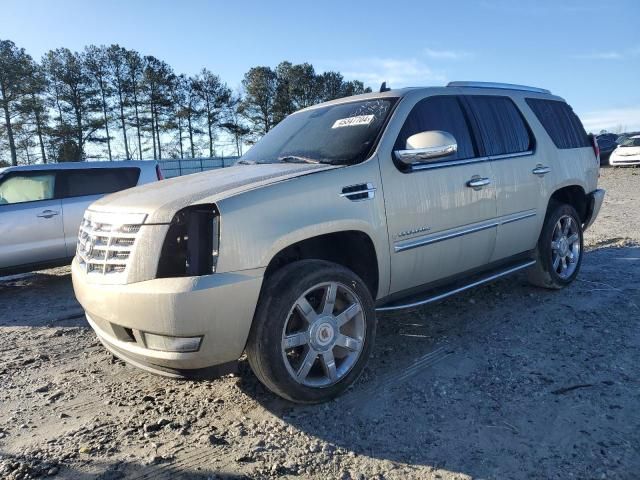 2007 Cadillac Escalade Luxury