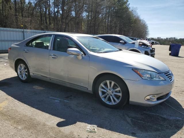 2010 Lexus ES 350