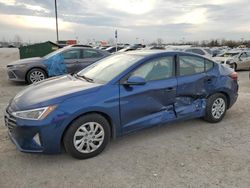 Salvage cars for sale at Indianapolis, IN auction: 2019 Hyundai Elantra SE