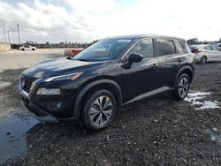 Salvage cars for sale at Homestead, FL auction: 2023 Nissan Rogue SV