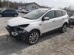 Salvage cars for sale at York Haven, PA auction: 2014 Ford Escape SE