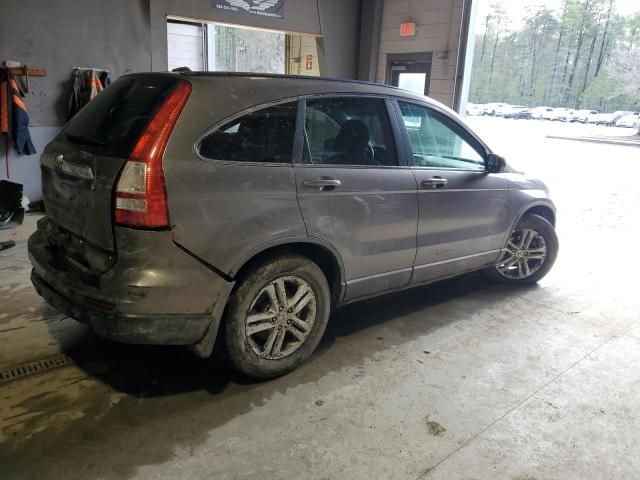 2010 Honda CR-V EXL