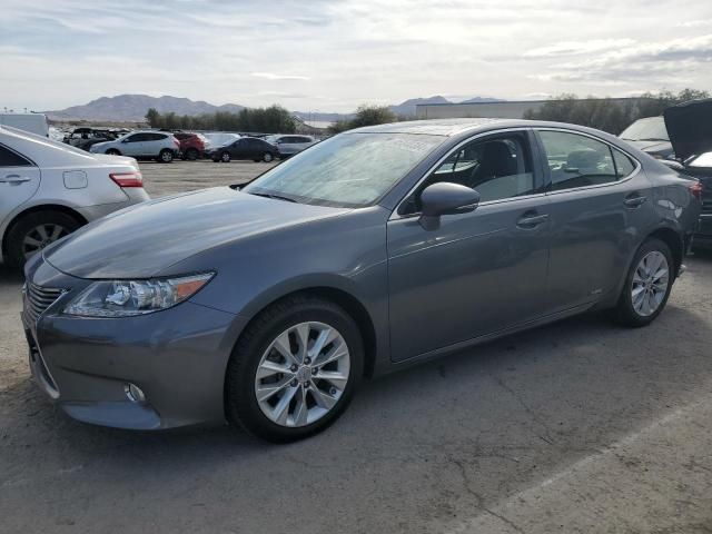 2013 Lexus ES 300H