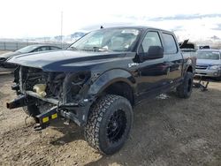 Salvage cars for sale at Magna, UT auction: 2020 Ford F150 Supercrew