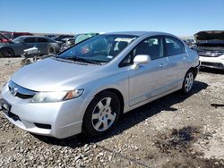 Honda Civic salvage cars for sale: 2010 Honda Civic LX