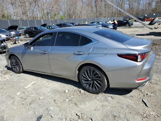 2019 Lexus ES 350