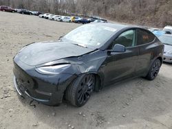 Vehiculos salvage en venta de Copart Marlboro, NY: 2021 Tesla Model Y