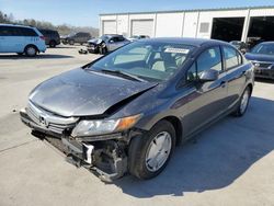 Salvage cars for sale at Gaston, SC auction: 2012 Honda Civic HF