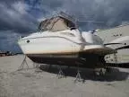 2003 Sea Ray Boat