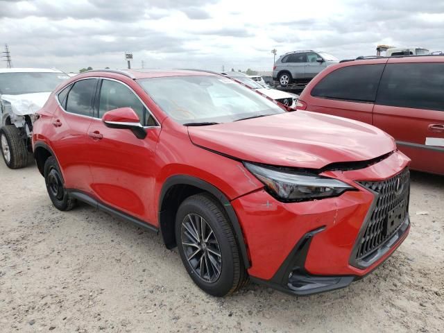 2024 Lexus NX 250 Premium