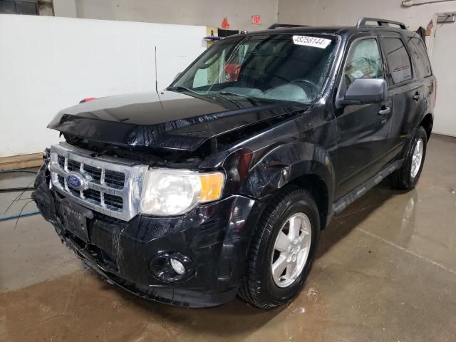 2010 Ford Escape XLT