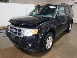 Ford salvage cars for sale: 2010 Ford Escape XLT