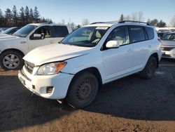 Salvage cars for sale from Copart Bowmanville, ON: 2011 Toyota Rav4