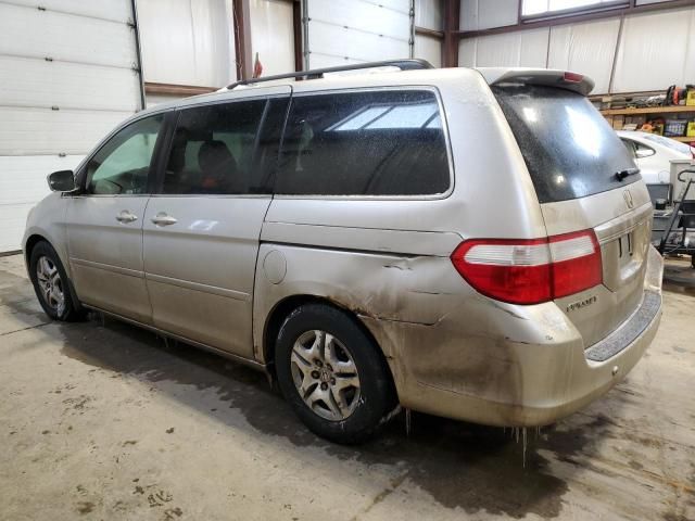 2006 Honda Odyssey EXL