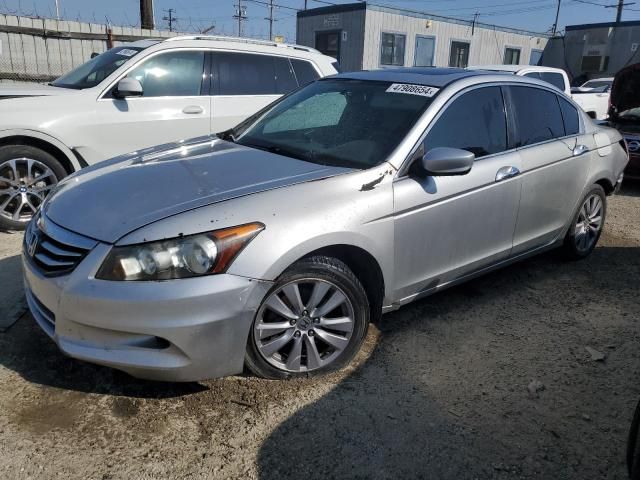 2011 Honda Accord EXL