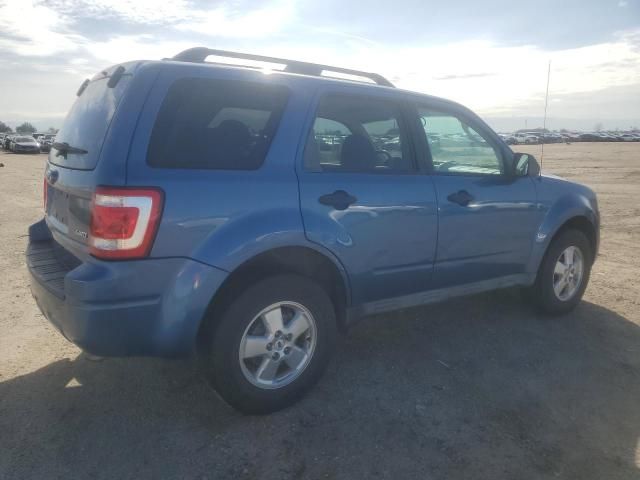 2009 Ford Escape XLT