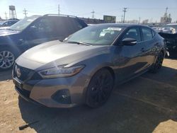 Salvage cars for sale at Chicago Heights, IL auction: 2023 Nissan Maxima SR