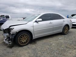 Salvage cars for sale at Antelope, CA auction: 2010 Toyota Camry Base