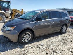 Salvage cars for sale at Wayland, MI auction: 2011 Honda Odyssey EXL