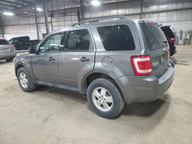 2011 Ford Escape XLT