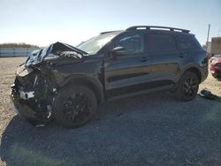 KIA Sorento salvage cars for sale: 2023 KIA Sorento S