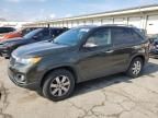 2013 KIA Sorento LX