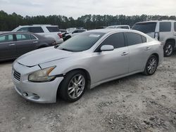 Nissan Maxima S salvage cars for sale: 2010 Nissan Maxima S