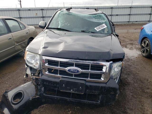 2010 Ford Escape XLT