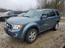 Salvage cars for sale at Candia, NH auction: 2012 Ford Escape XLT