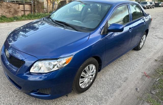 2010 Toyota Corolla Base