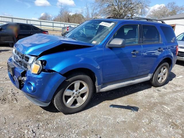 2011 Ford Escape XLT