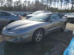 Pontiac Firebird salvage cars for sale: 1999 Pontiac Firebird