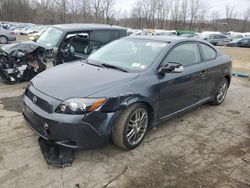 Scion TC salvage cars for sale: 2008 Scion TC